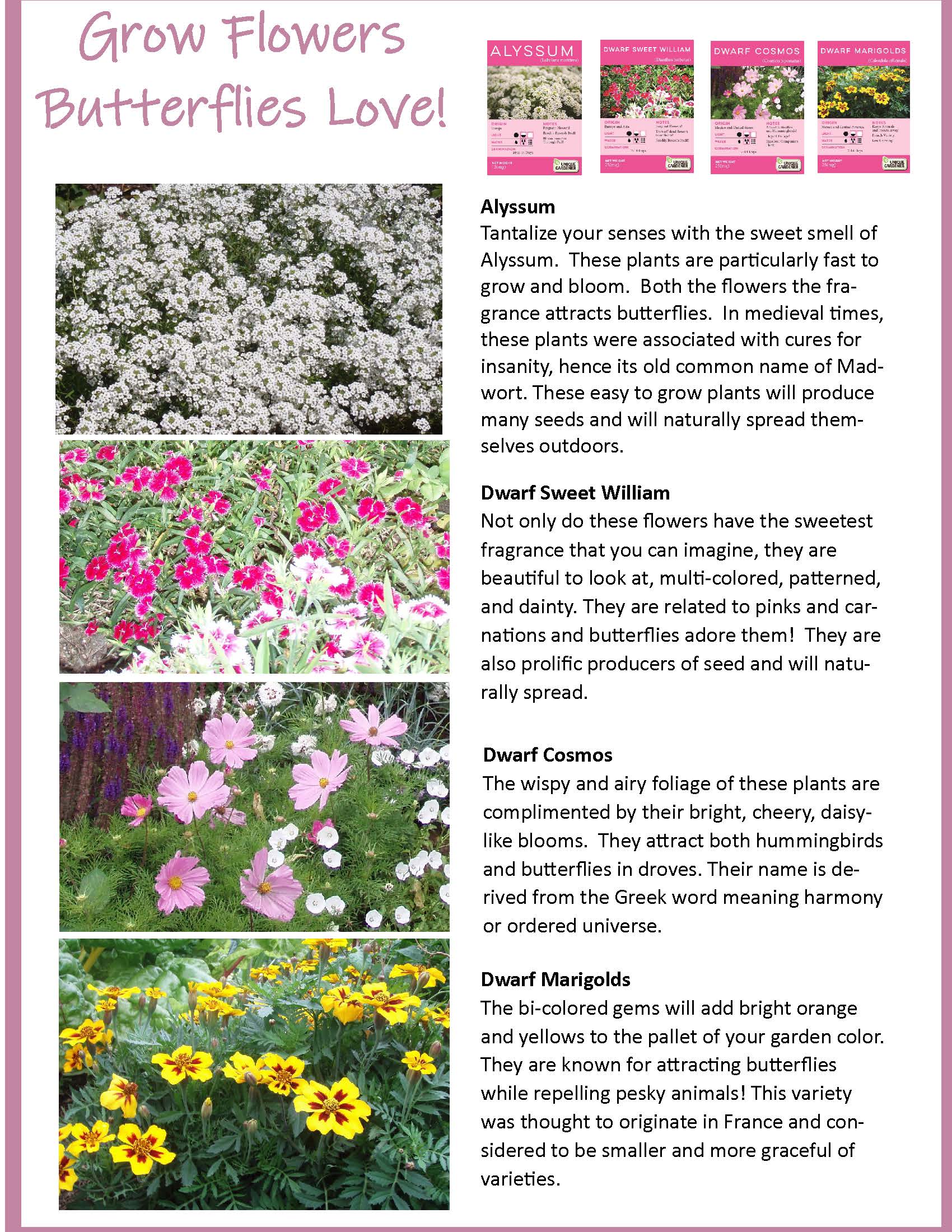 Bountiful Butterfly Garden Biosphere Terrarium — product image 10
