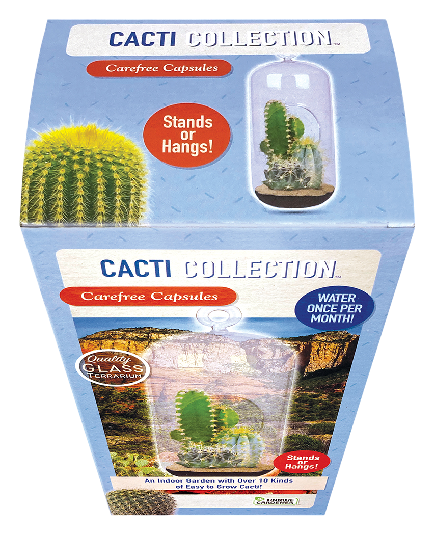 Cacti Collection Glass Terrarium Seed Starting Kit product image 4