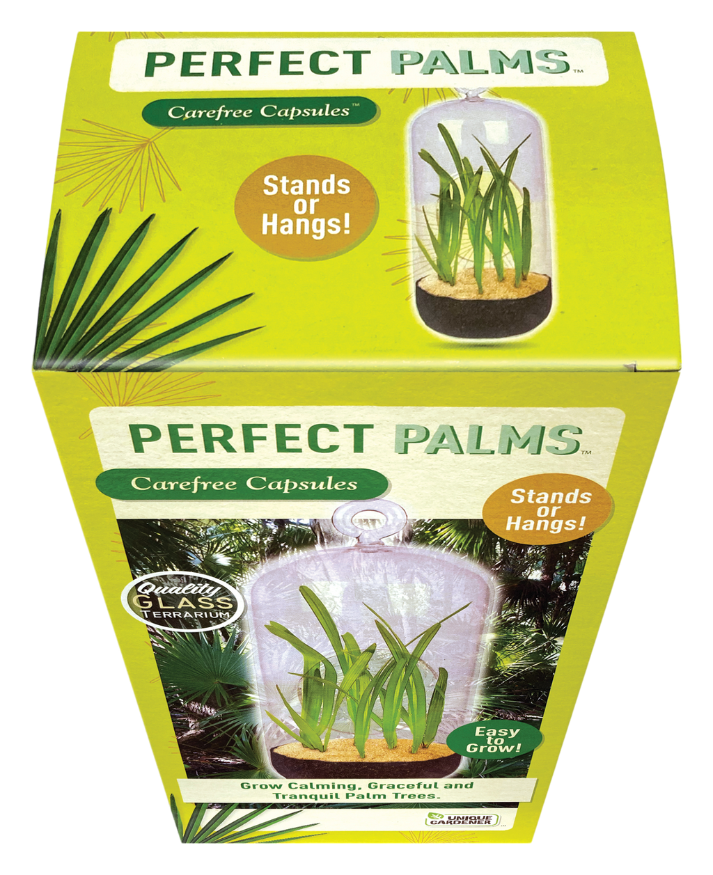 Perfect Palms Glass Terrarium Seed Starting Kit — product image 3