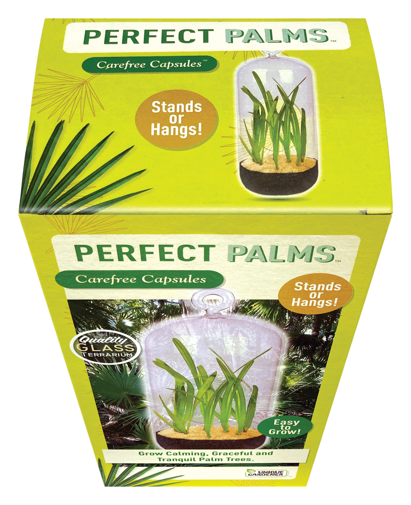 Perfect Palms Glass Terrarium Seed Starting Kit — product image 3