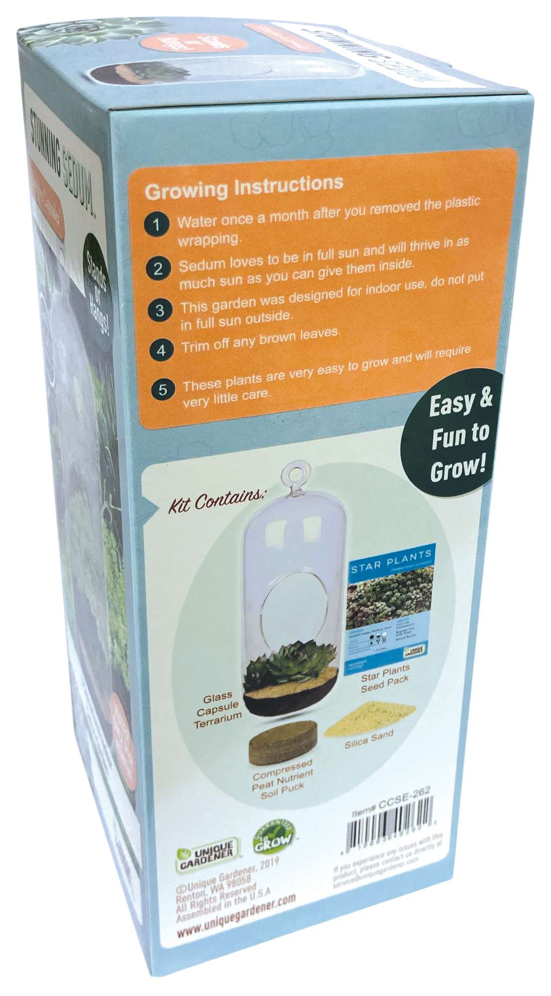 Stunning Sedum Glass Terrarium Seed Starting Kit — product image 5