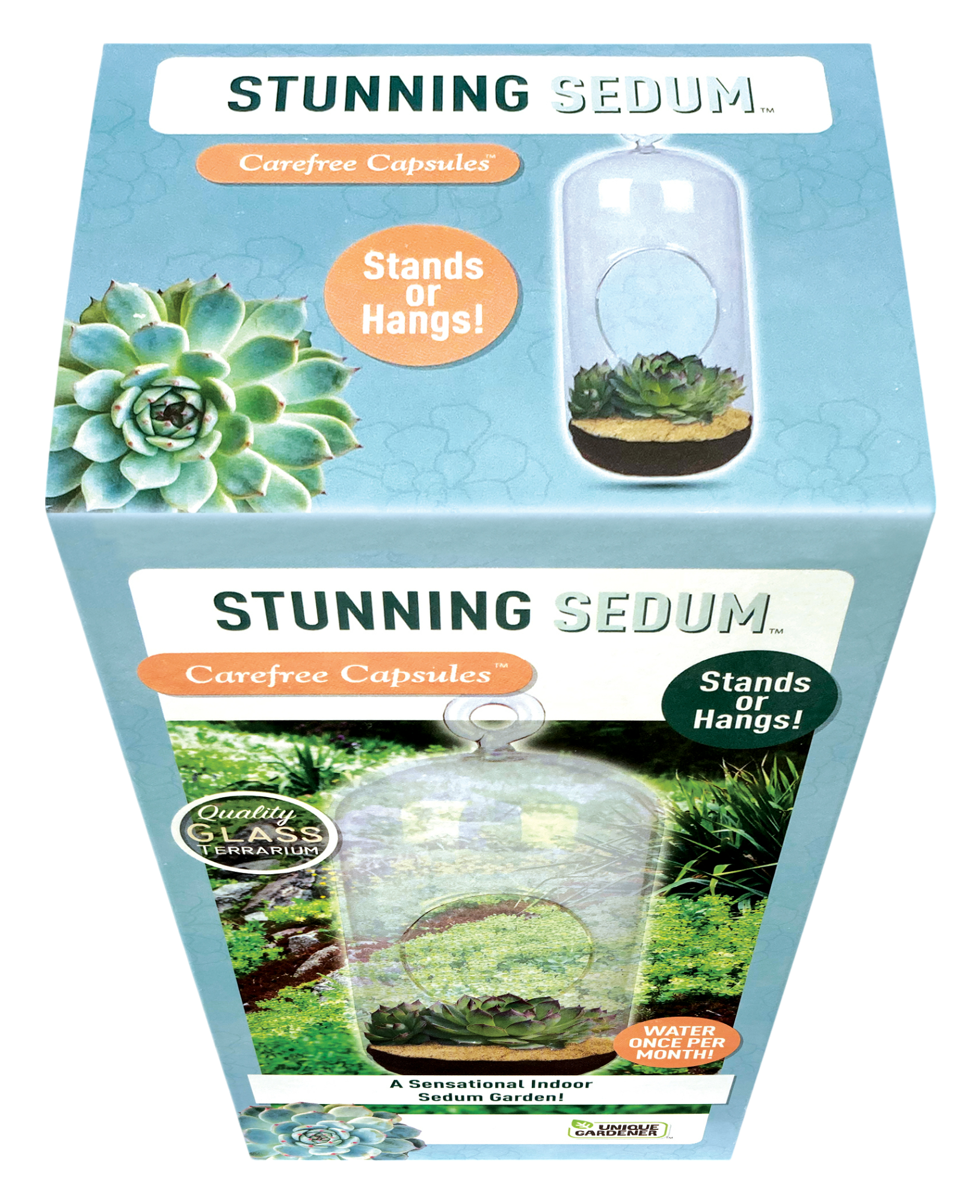 Stunning Sedum Glass Terrarium Seed Starting Kit — product image 3