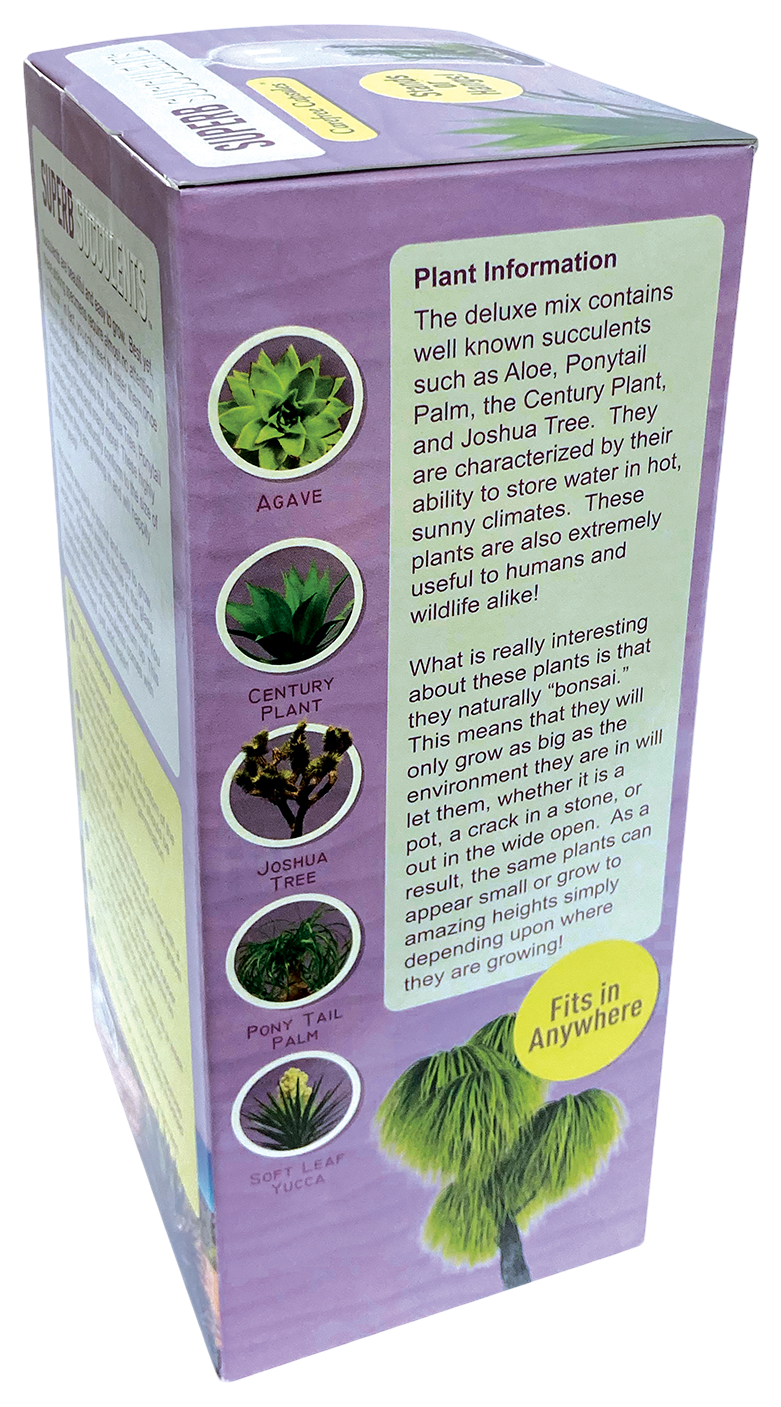 Superb Succulents Glass Terrarium Seed Starting Kit — product image 4