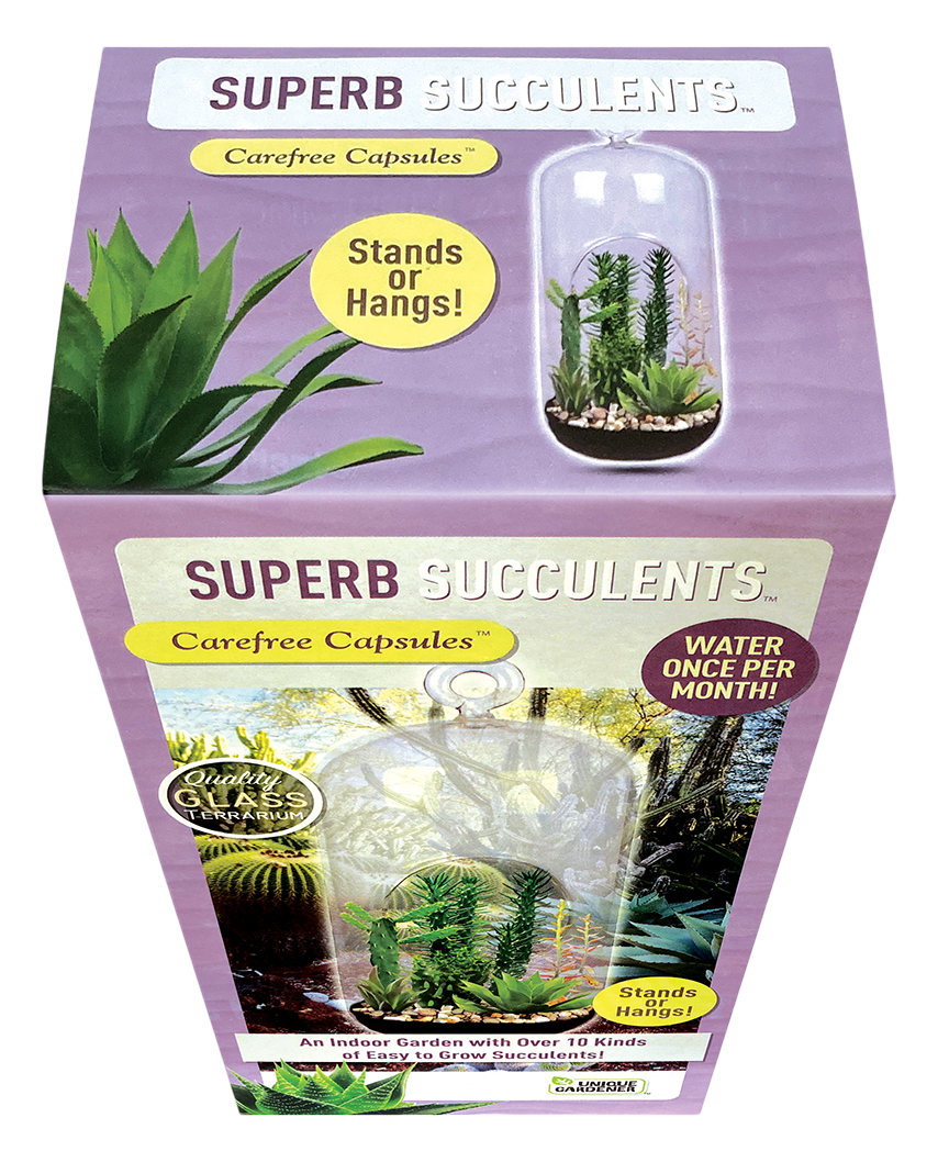 Superb Succulents Glass Terrarium Seed Starting Kit — product image 3