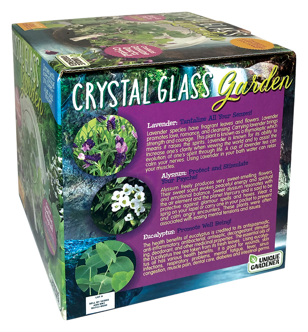 Crystal Glass Garden Seed Starting Terrarium product image 5