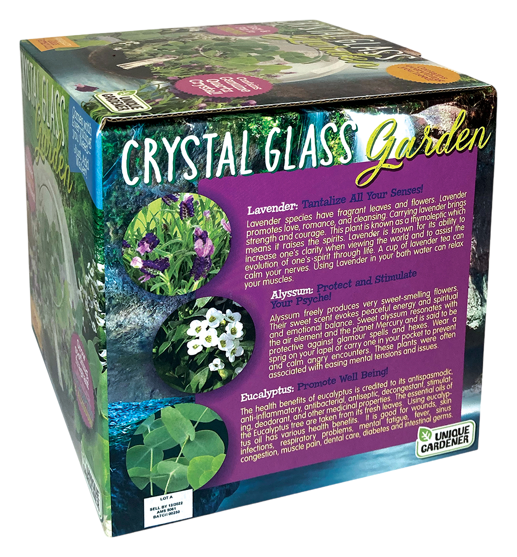 Crystal Glass Garden Seed Starting Terrarium product image 5