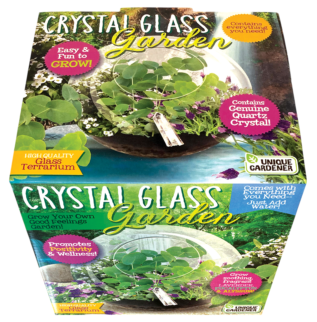 Crystal Glass Garden Seed Starting Terrarium product image 3