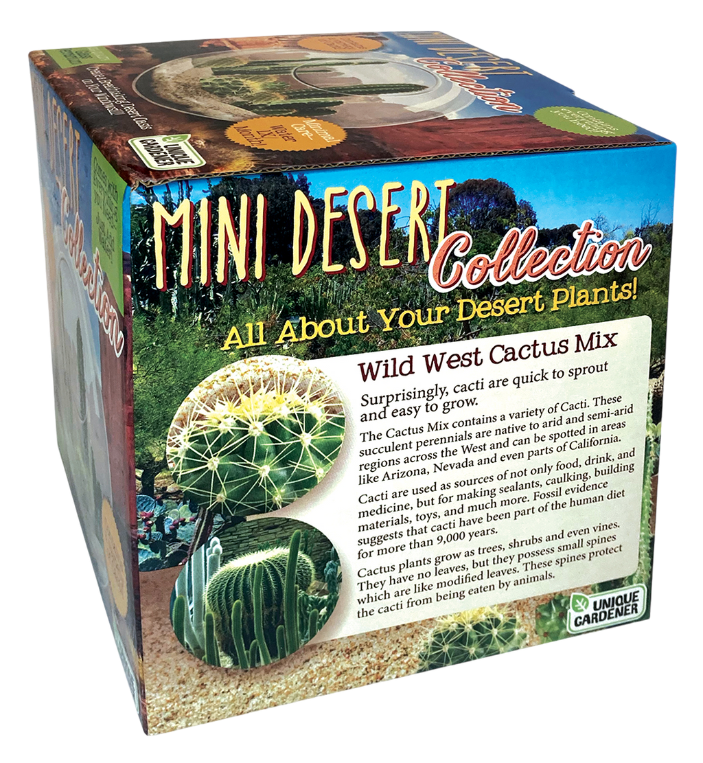 Mini Desert Collection Glass Terrarium Cacti Seed Starting Kit — product image 9