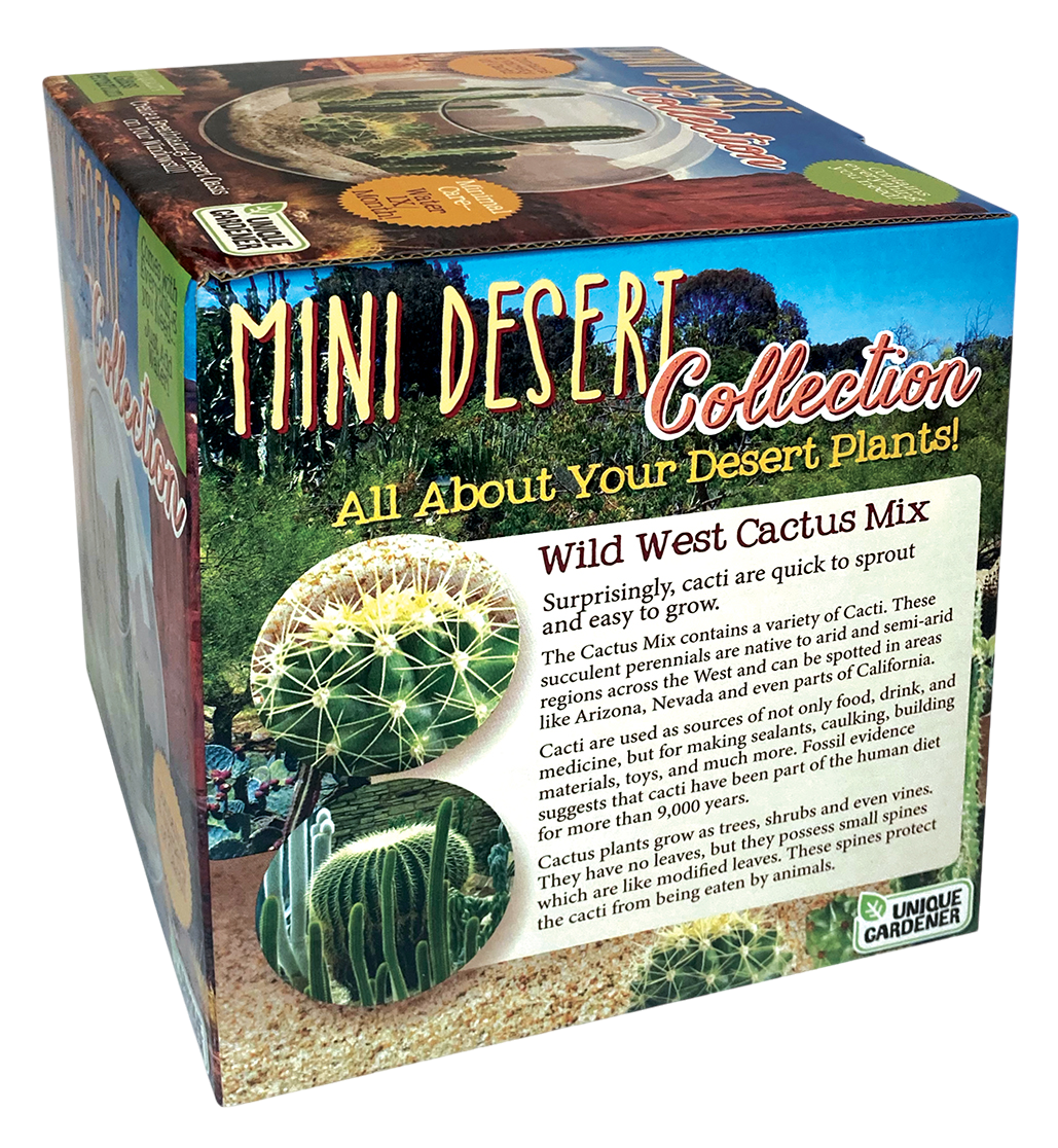 Mini Desert Collection Glass Terrarium Cacti Seed Starting Kit — product image 9