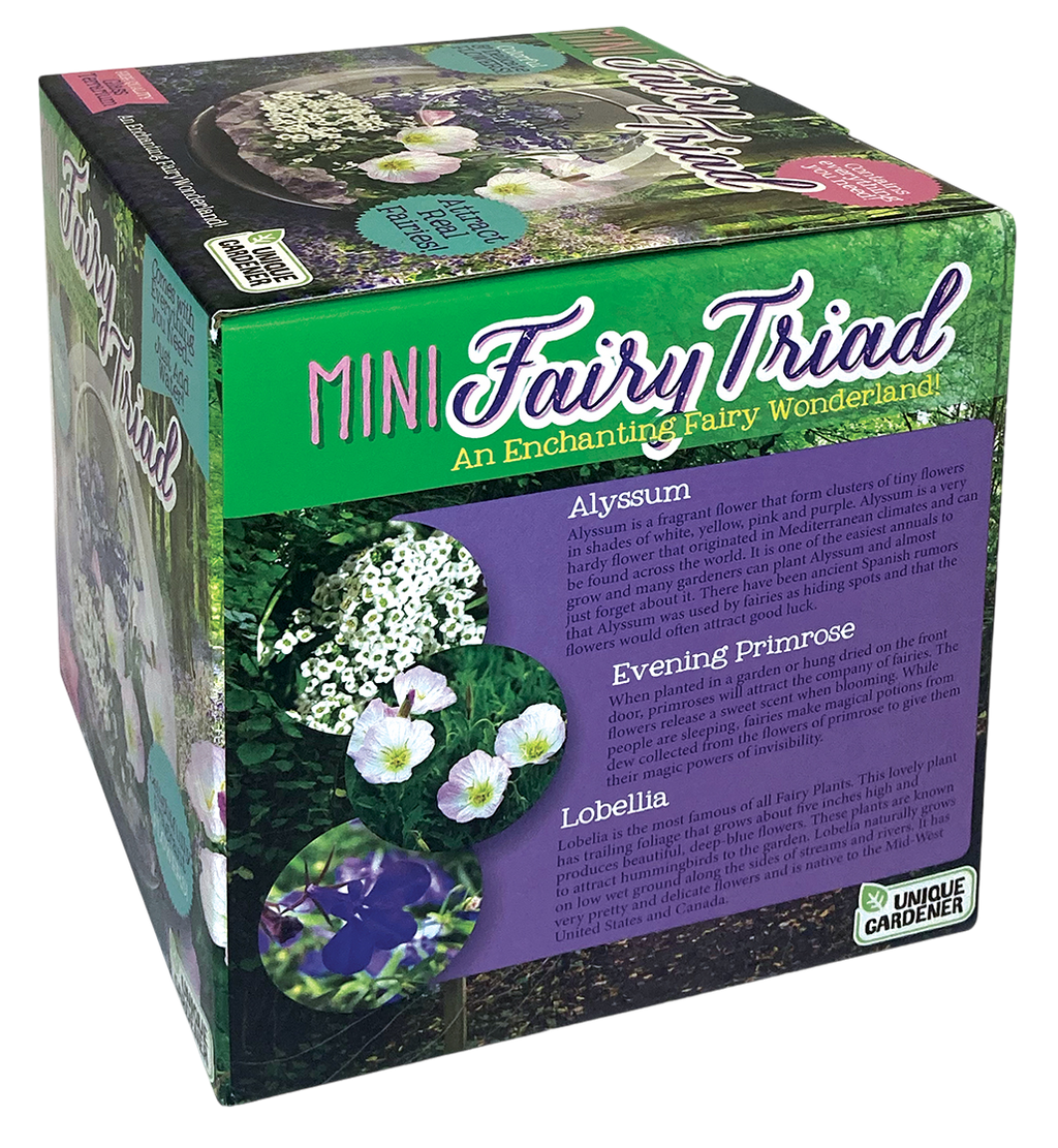 Fairy Triad Glass Terrarium Seed Starting Kit — product image 7