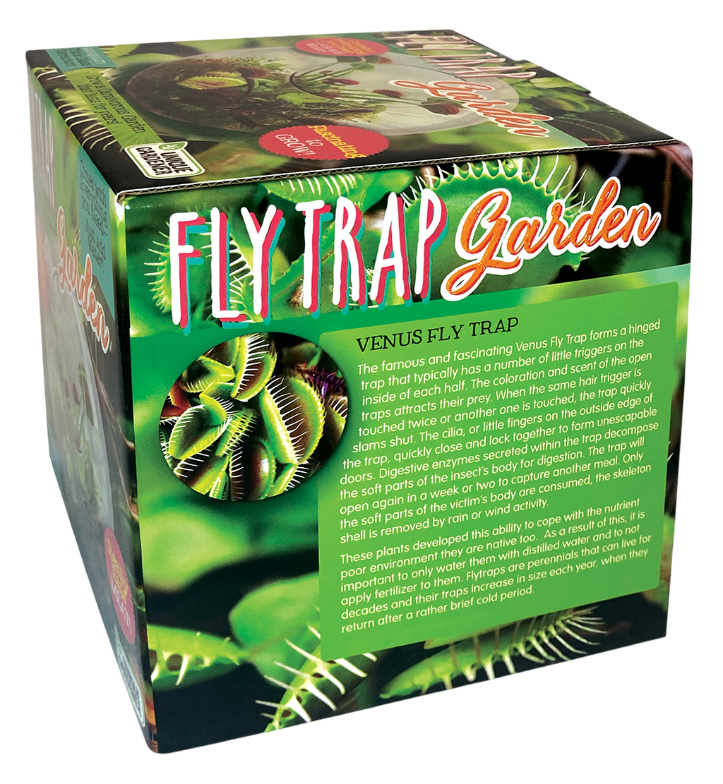 Flytrap Garden Glass Terrarium Seed Starting Kit product image 5
