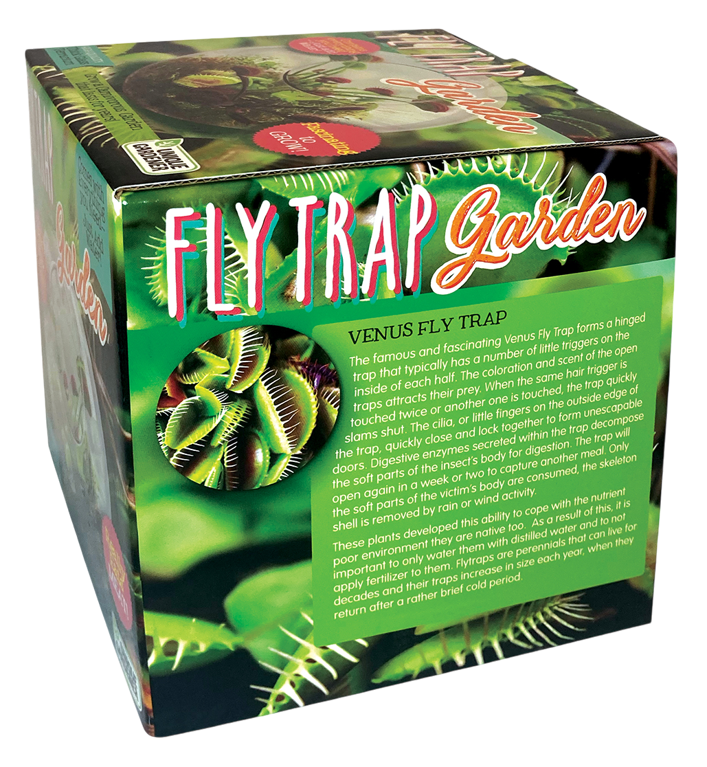 Flytrap Garden Glass Terrarium Seed Starting Kit product image 5