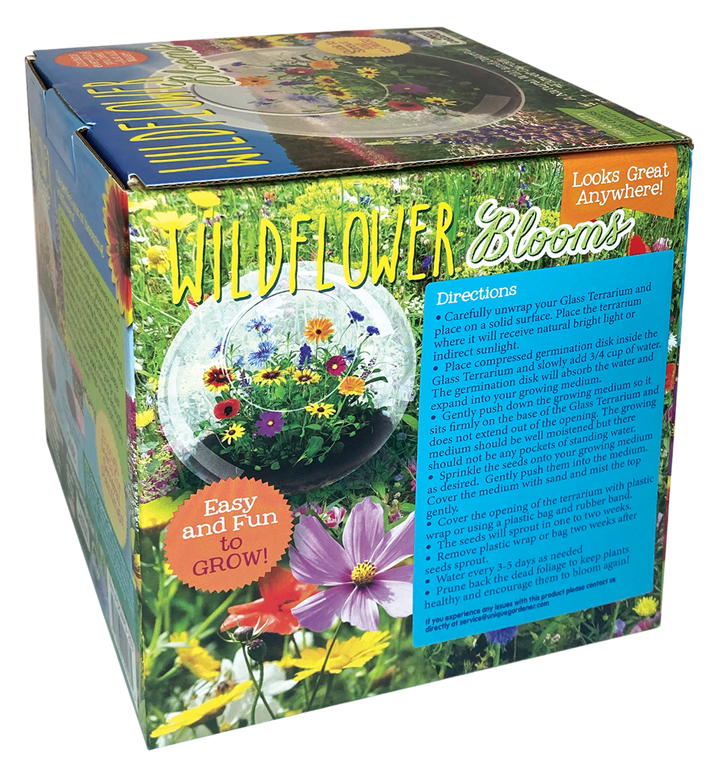 Wildflower Blooms Glass Terrarium Seed Starting Kit — product image 5