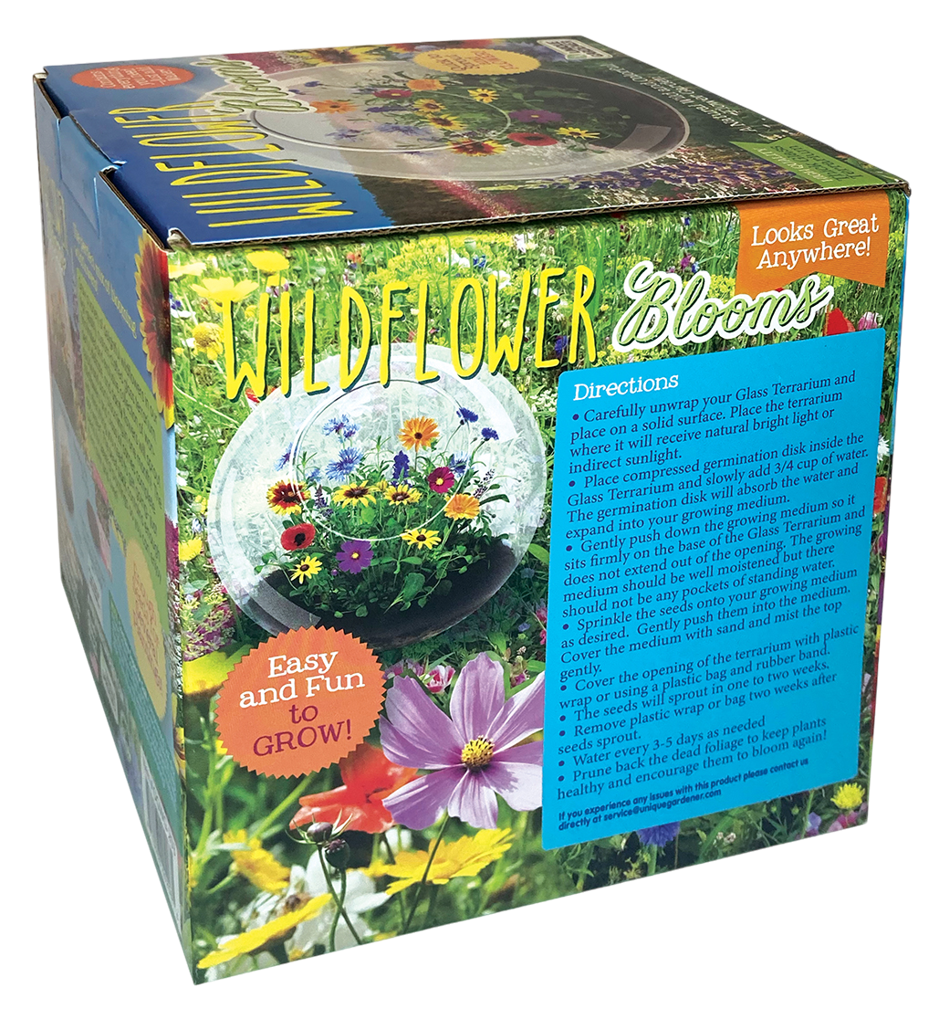Wildflower Blooms Glass Terrarium Seed Starting Kit — product image 5