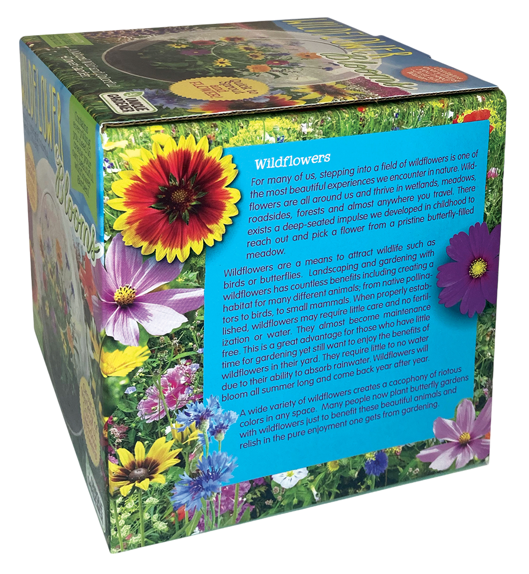 Wildflower Blooms Glass Terrarium Seed Starting Kit — product image 6