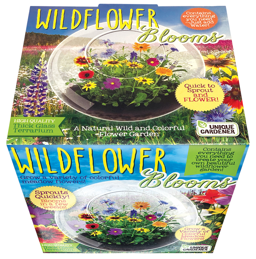 Wildflower Blooms Glass Terrarium Seed Starting Kit — product image 4
