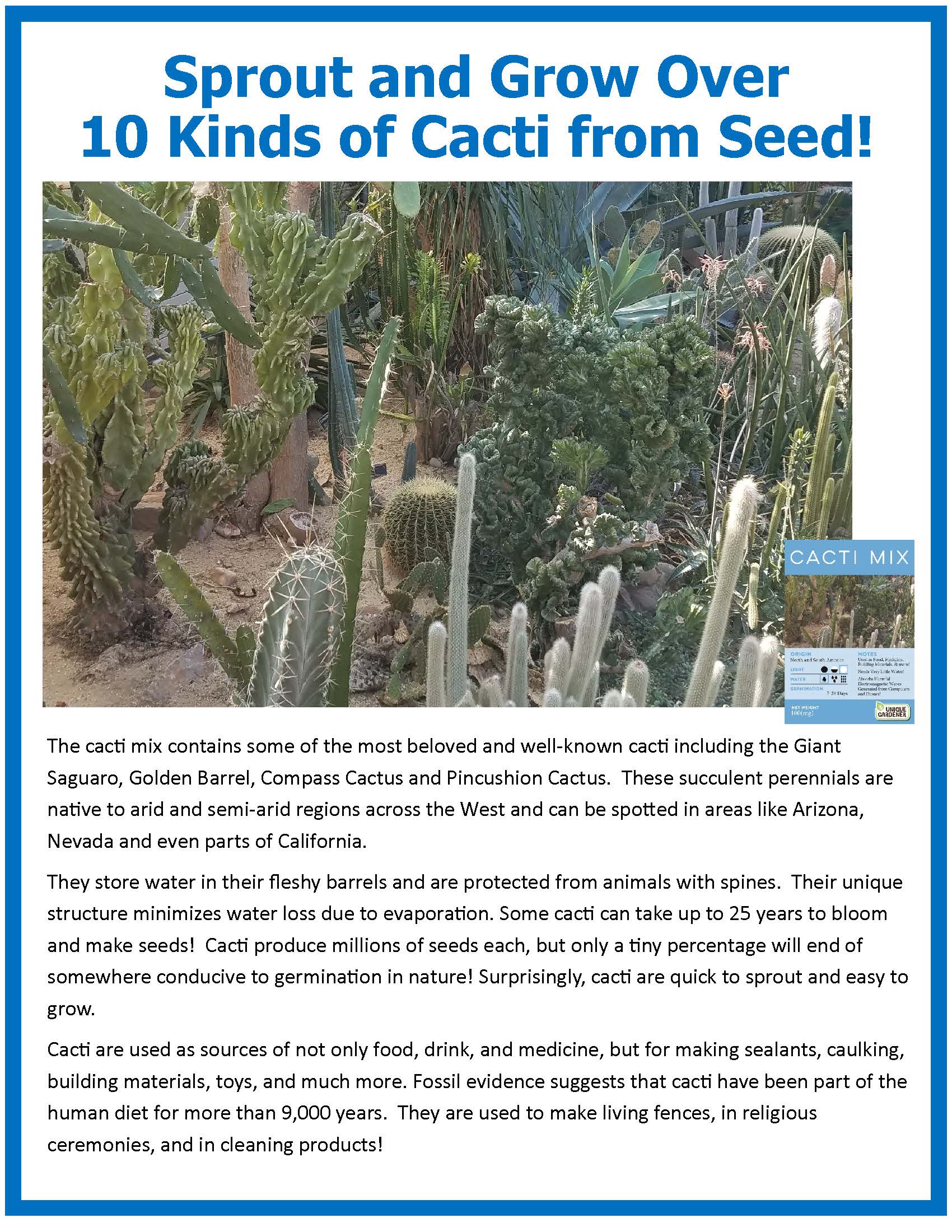 Cacti Collection Glass Terrarium Seed Starting Kit product image 6