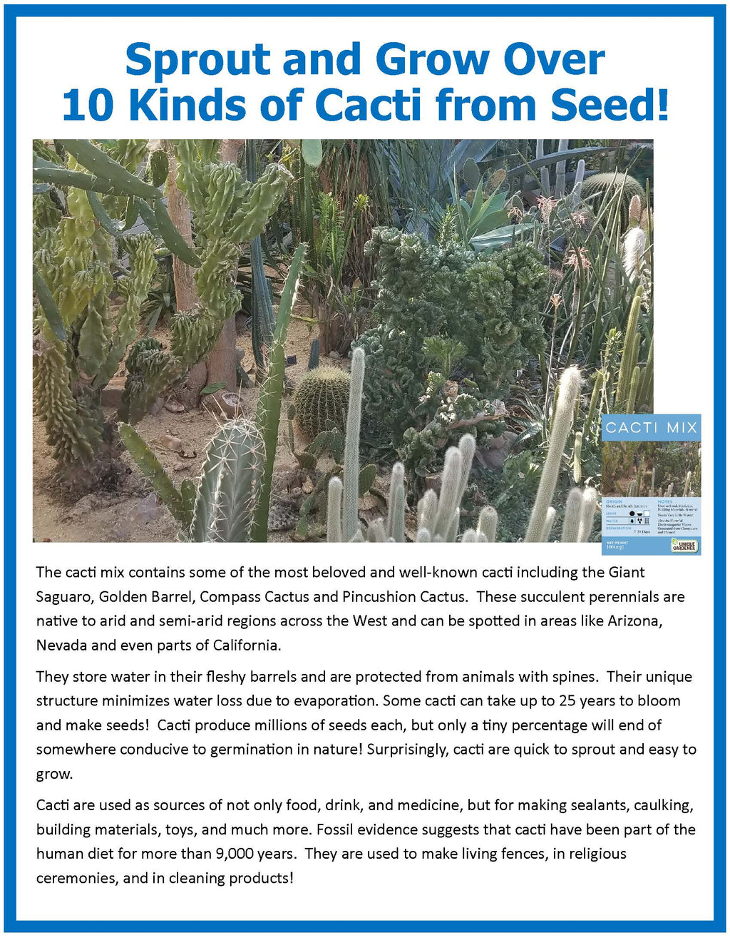 Desert Plant Collection Mini World Terrarium product image 6
