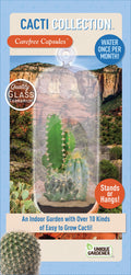 Cacti Collection Glass Terrarium Seed Starting Kit product image 1