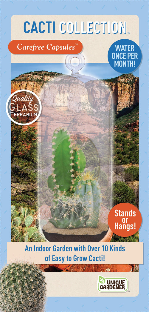 Cacti Collection Glass Terrarium Seed Starting Kit product image 1