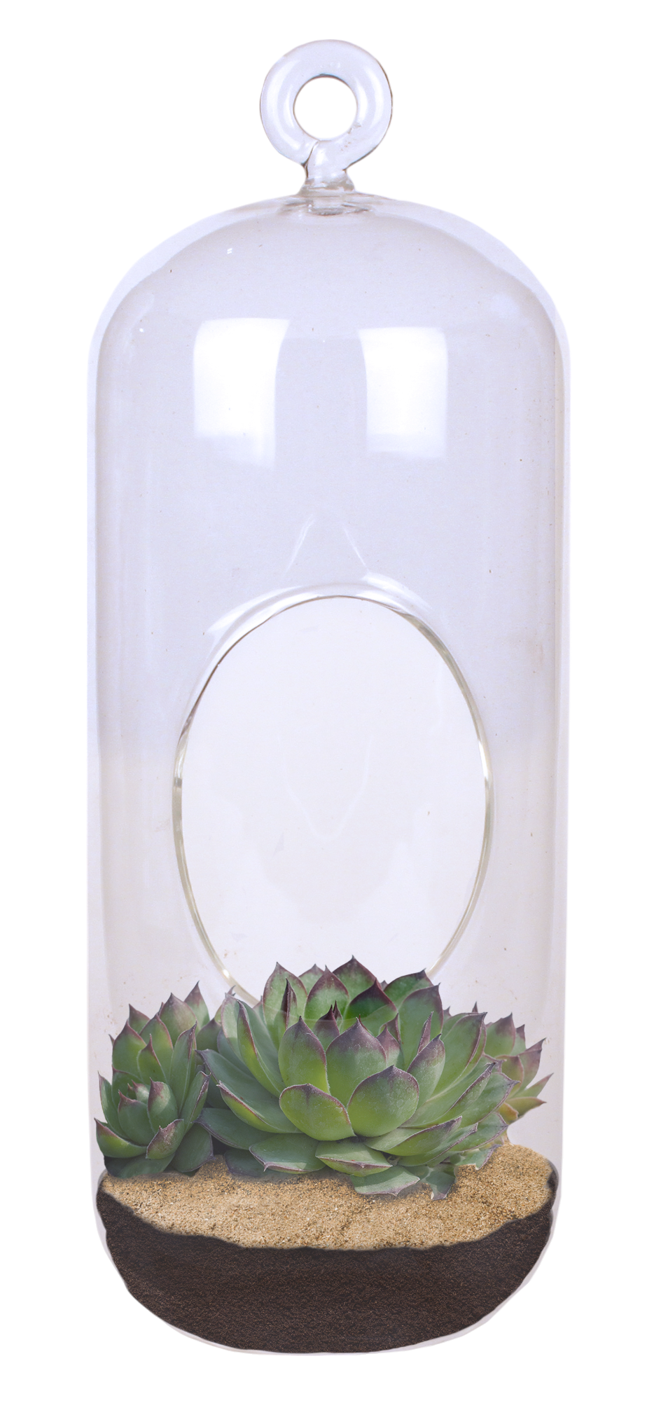 Stunning Sedum Glass Terrarium Seed Starting Kit — product image 2