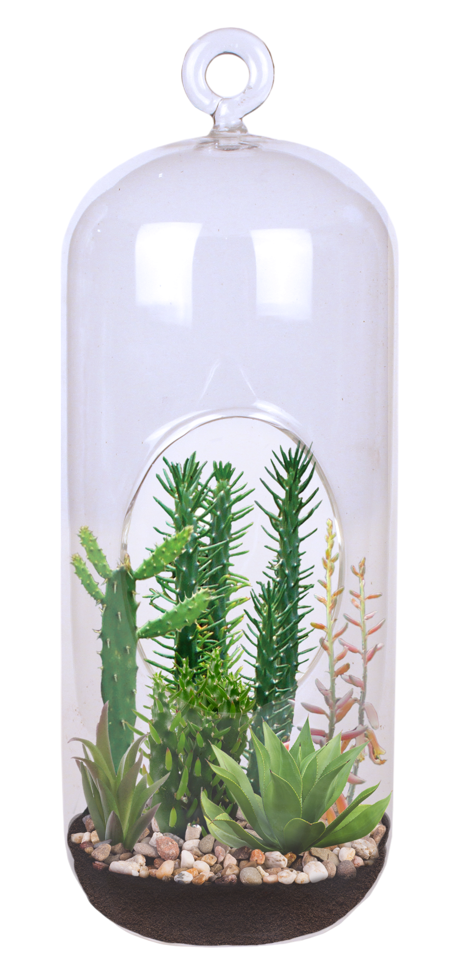 Superb Succulents Glass Terrarium Seed Starting Kit — product image 2