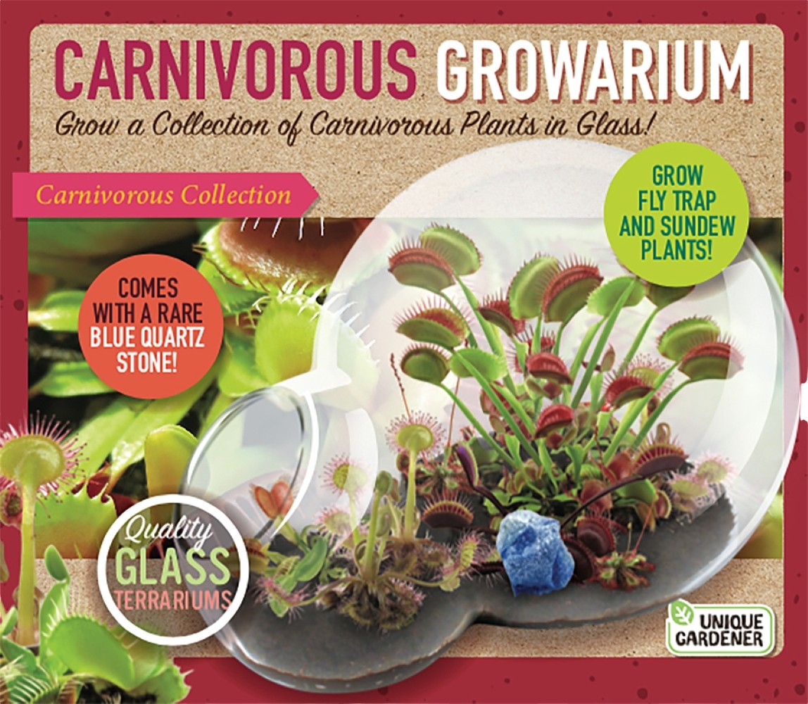 Carnivorous Growarium Meat-Eating Seed Terrarium Kit product image 1