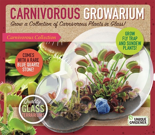Carnivorous Growarium Meat-Eating Seed Terrarium Kit product image 1
