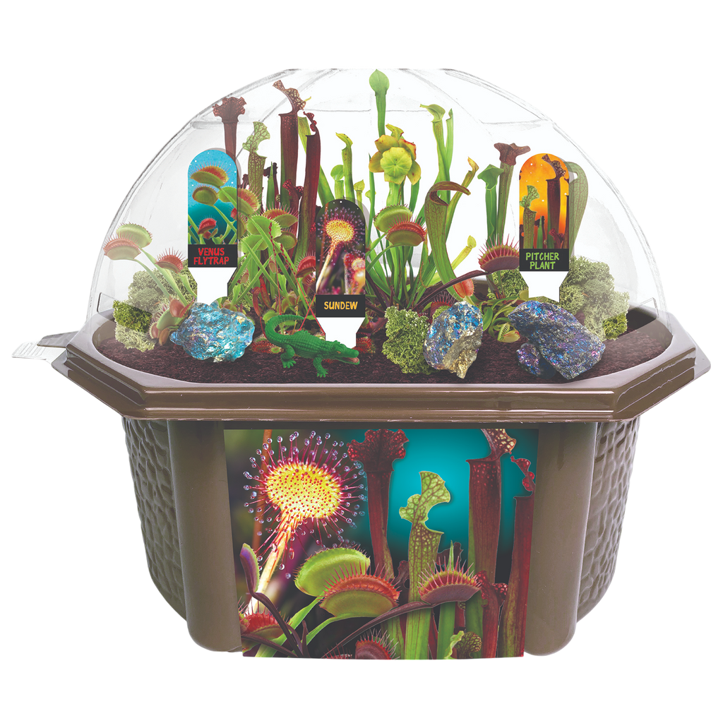 Carnivorous Creatures Biosphere Terrarium product image 3