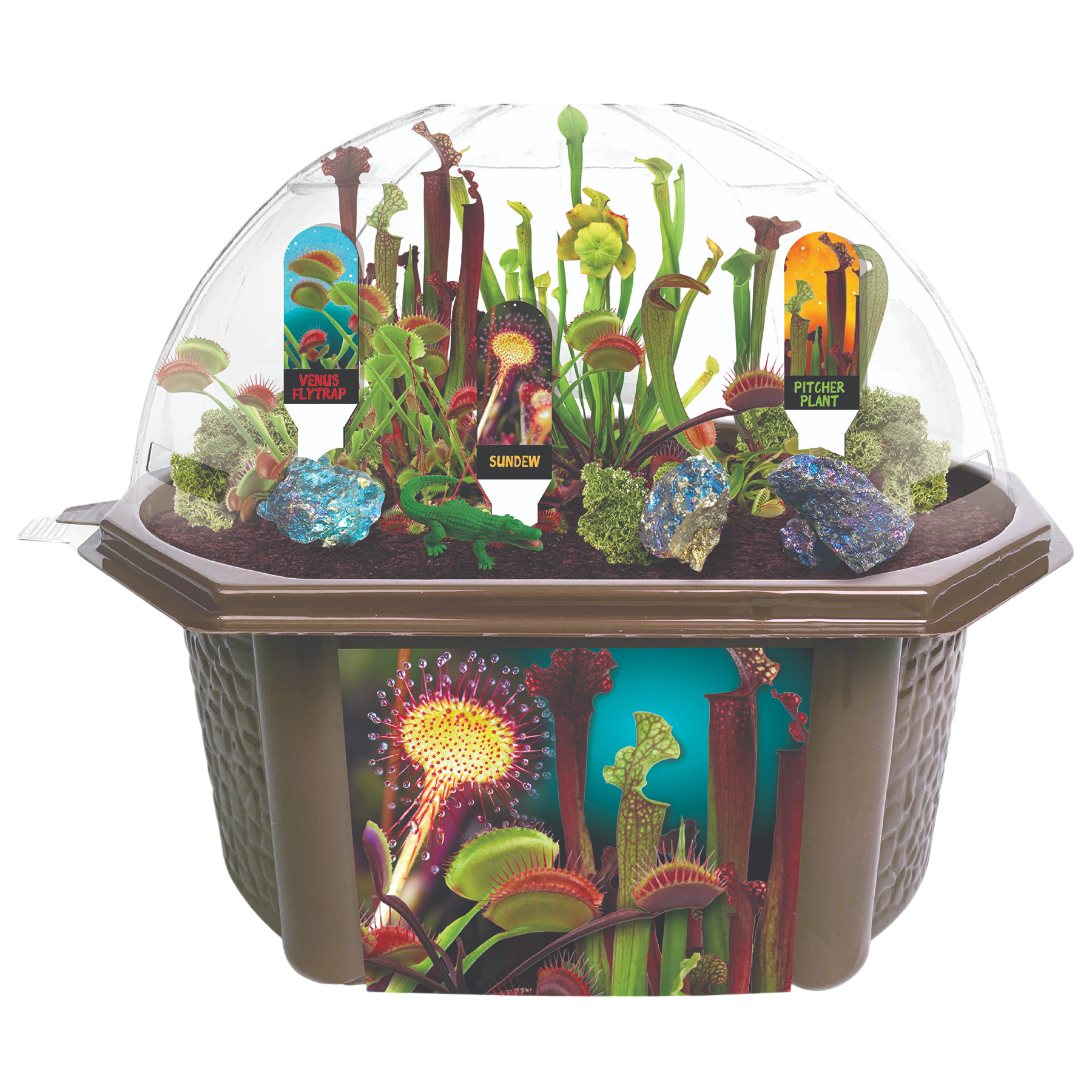 Carnivorous Creatures Biosphere Terrarium product image 3