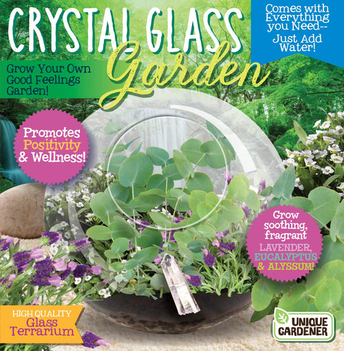 Crystal Glass Garden Seed Starting Terrarium product image 1