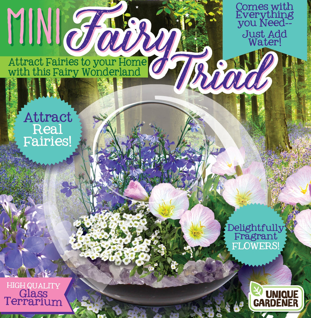 Fairy Triad Glass Terrarium Seed Starting Kit — product image 1