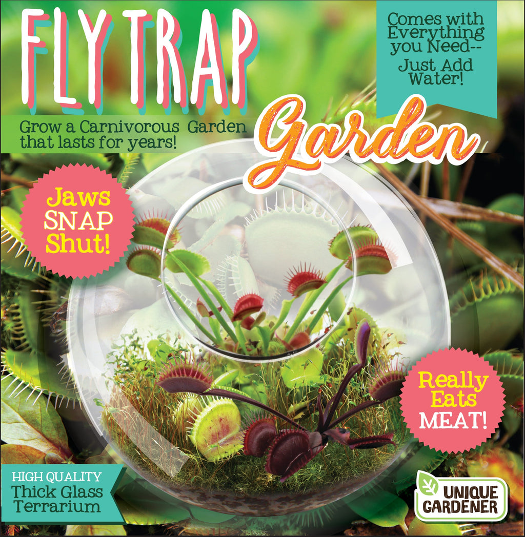 Flytrap Garden Glass Terrarium Seed Starting Kit product image 1