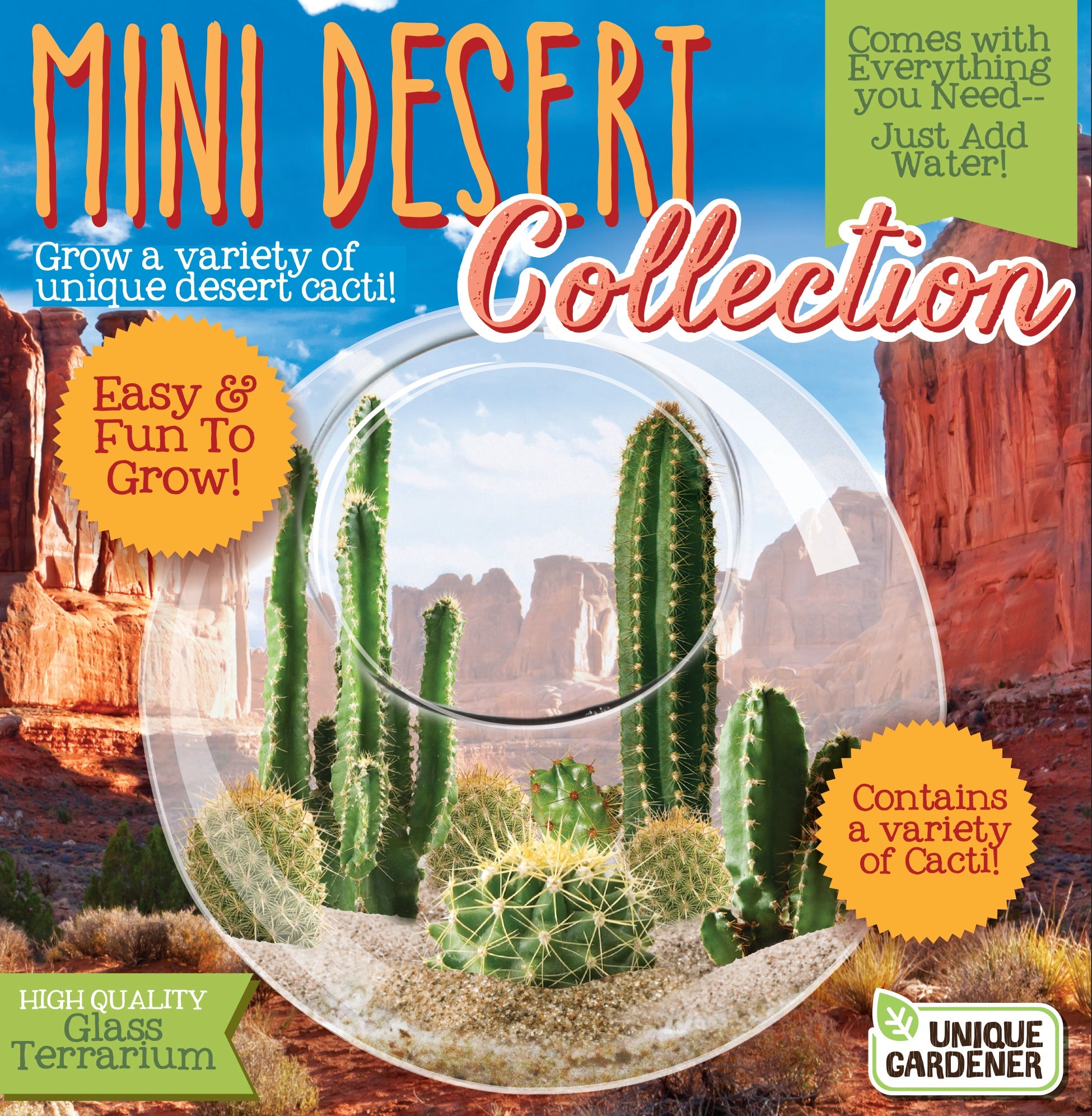 Mini Desert Collection Glass Terrarium Cacti Seed Starting Kit — product image 1