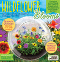 Wildflower Blooms Glass Terrarium Seed Starting Kit — product image 1