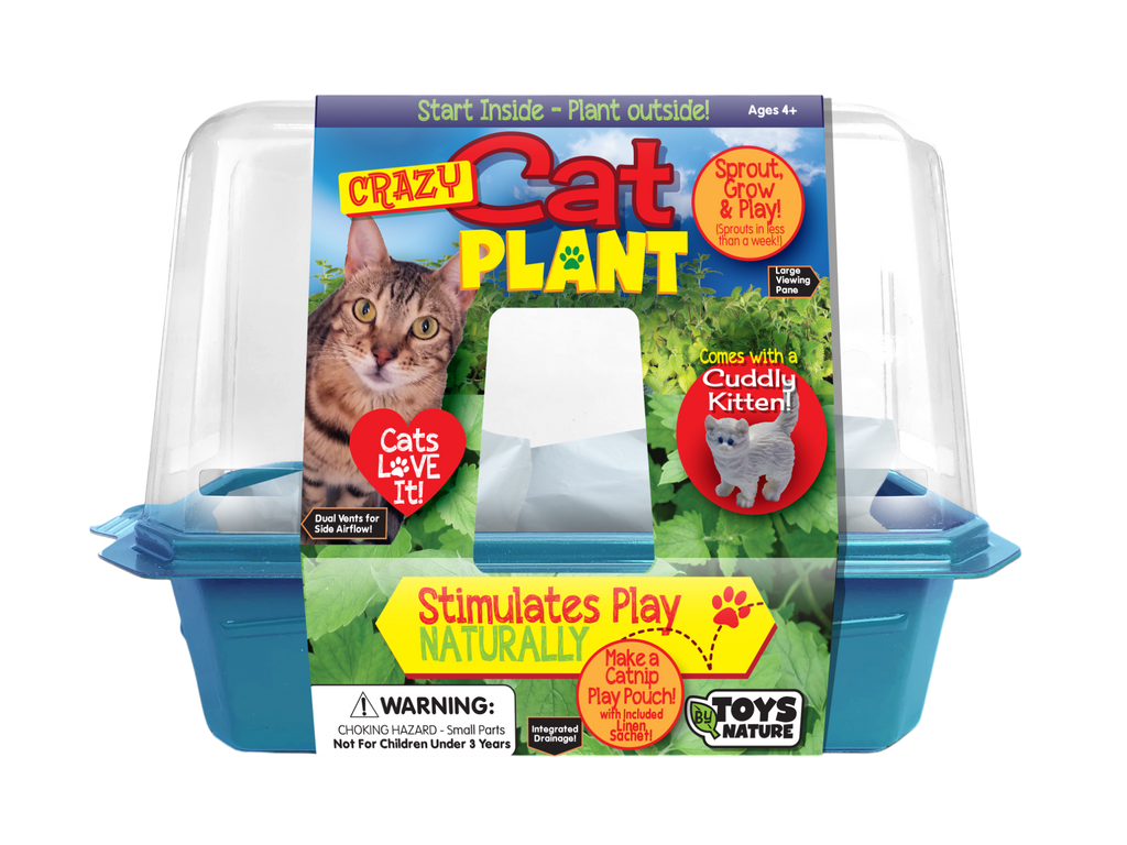 Crazy Cat Plant Mini World Terrarium product image 1