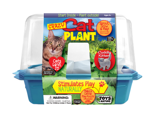 Crazy Cat Plant Mini World Terrarium product image 1