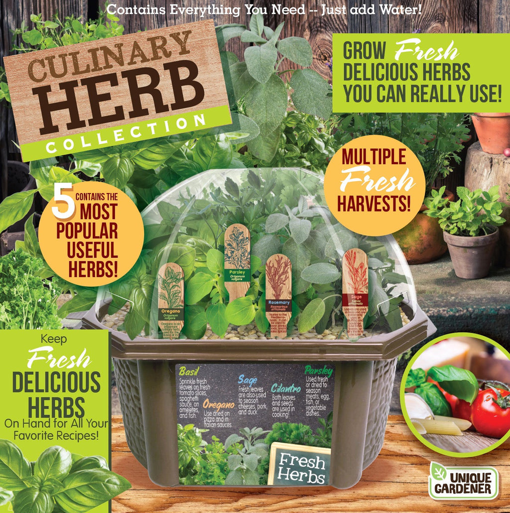 Culinary Herb Collection Biosphere Terrarium product image 1