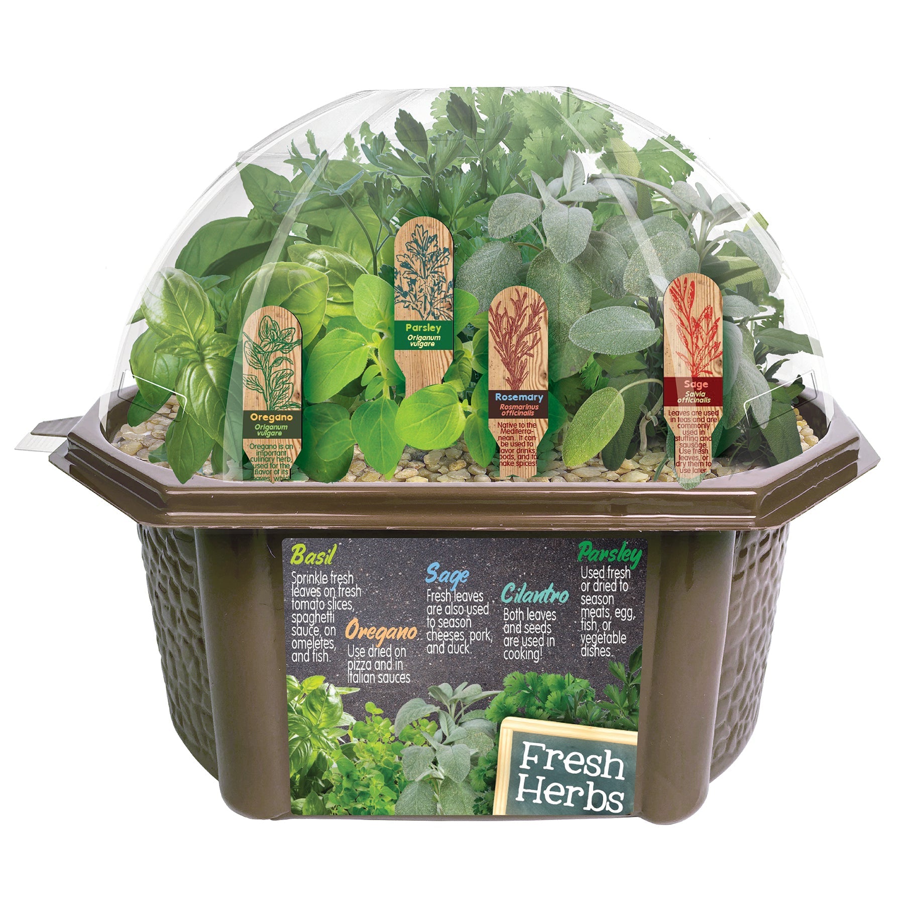 Culinary Herb Collection Biosphere Terrarium product image 7