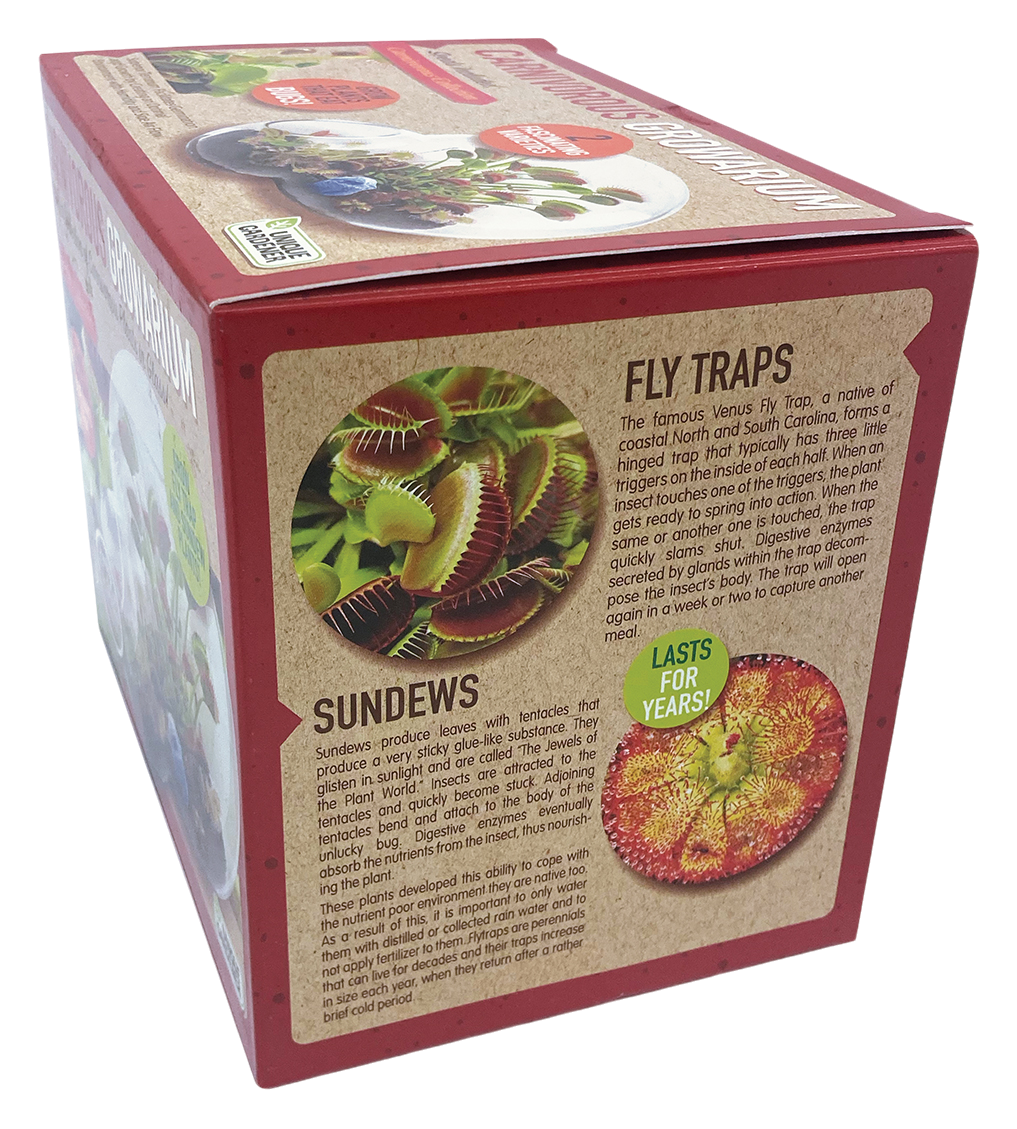 Carnivorous Growarium Meat-Eating Seed Terrarium Kit product image 6