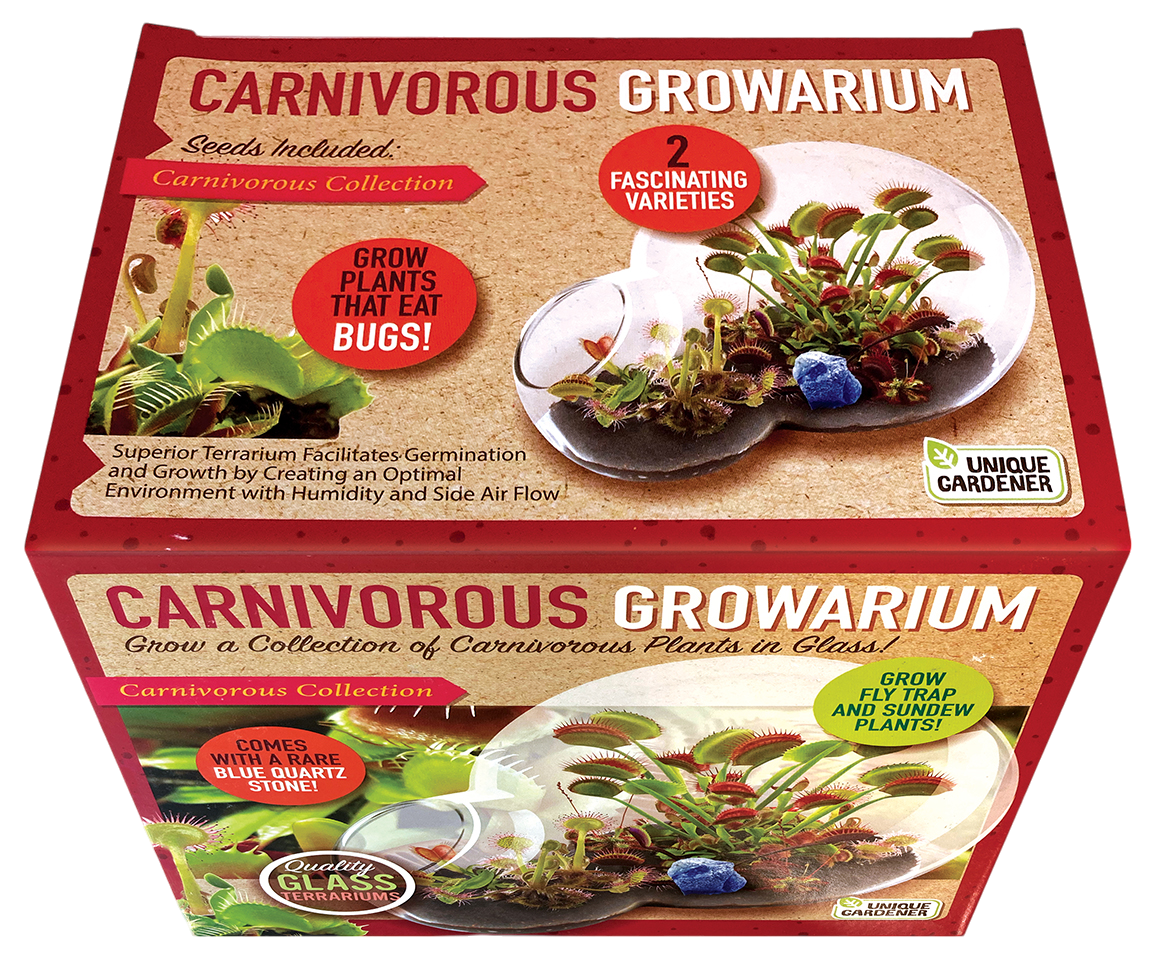 Carnivorous Growarium Meat-Eating Seed Terrarium Kit product image 7