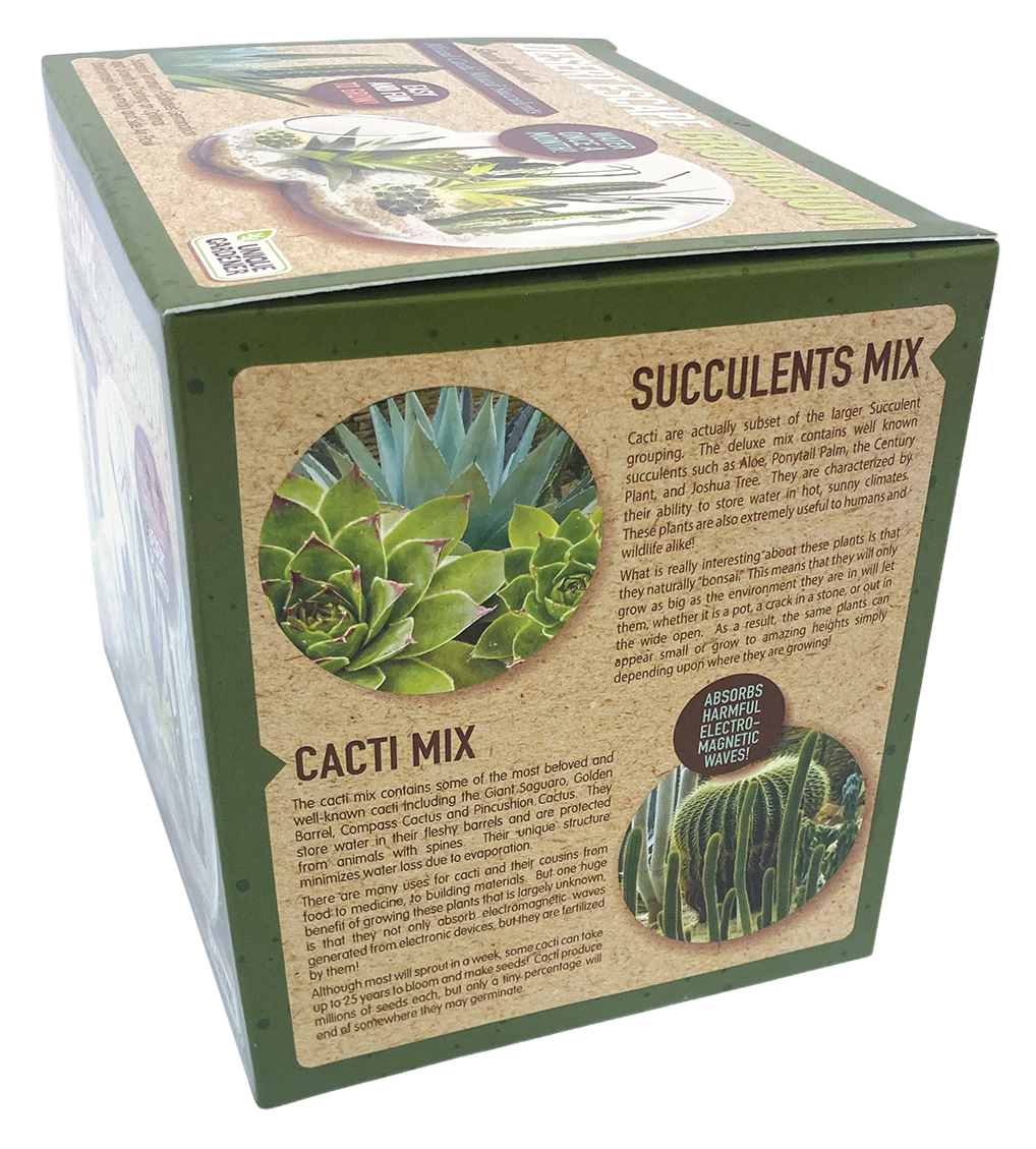 Desert Escape Growarium Succulent and Cacti Seed Terrarium Kit — product image 6