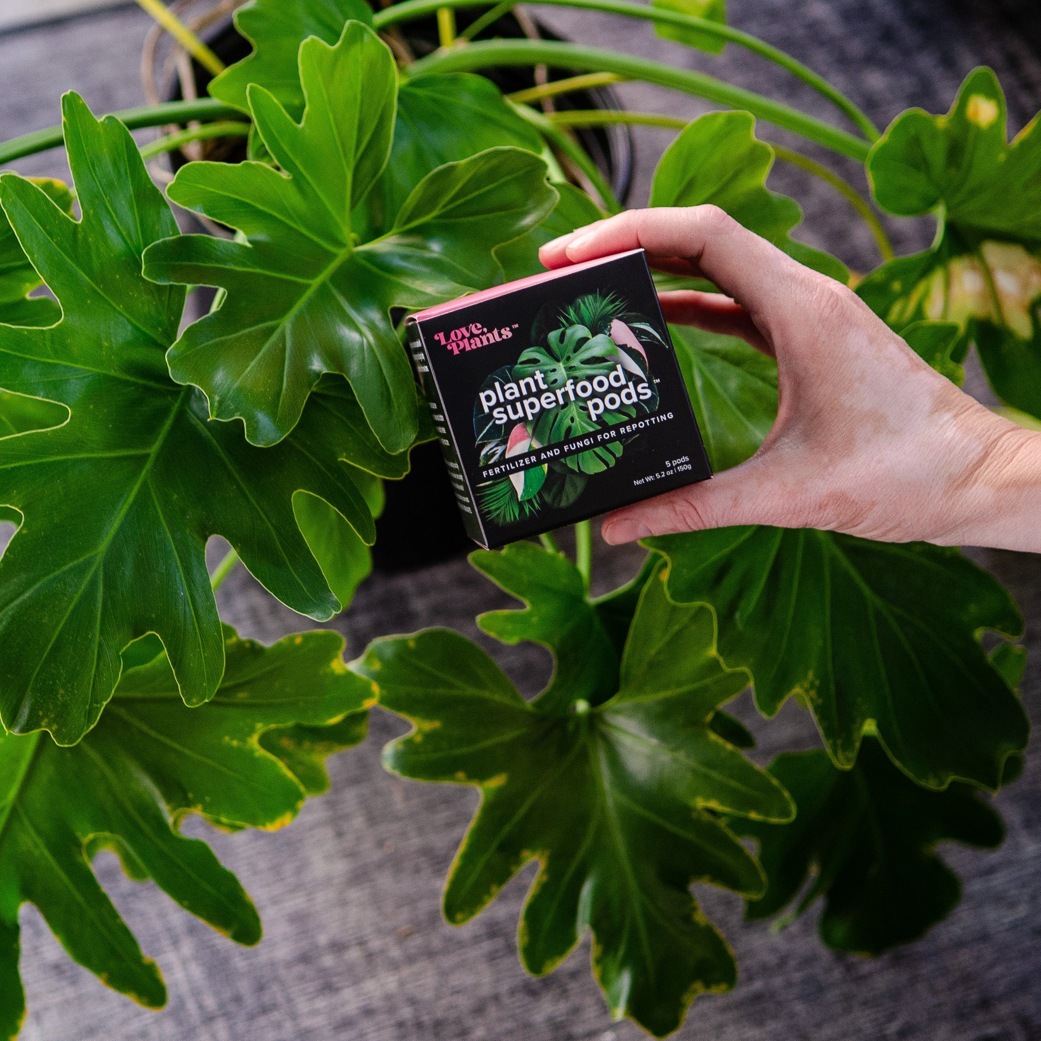 Plant Superfood Pods product image 2