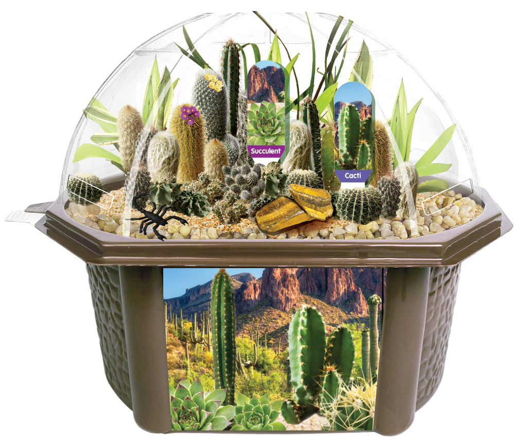 Desert Dome Biosphere Terrarium product image 6