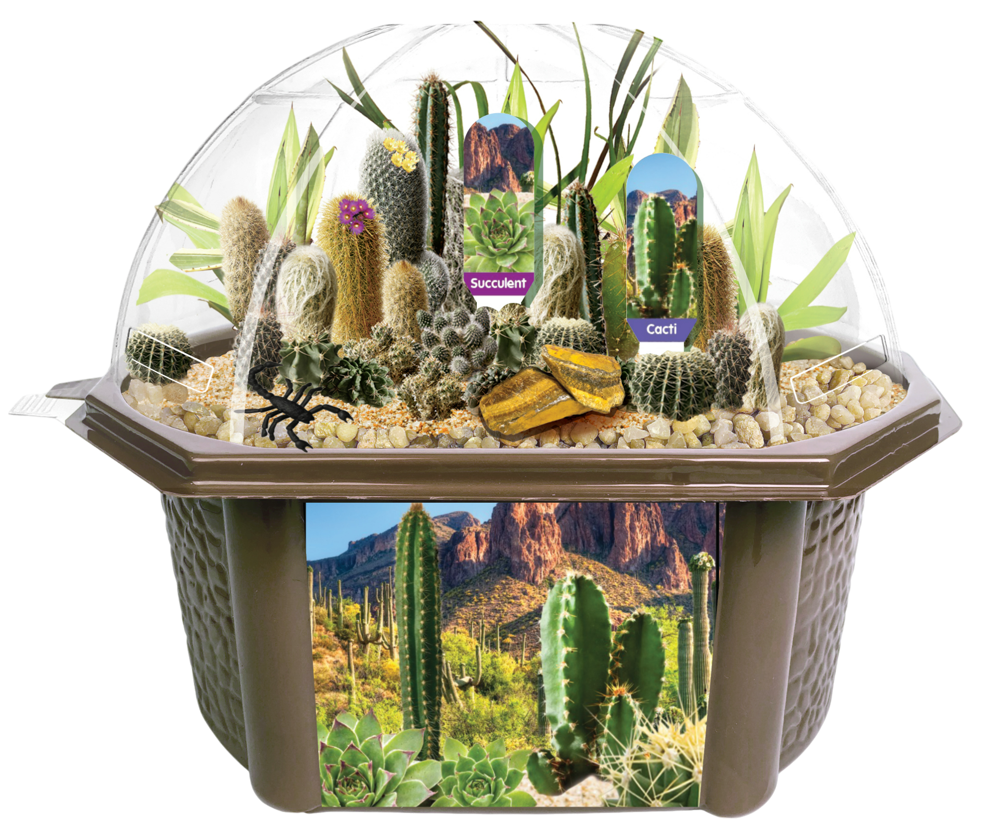 Desert Dome Biosphere Terrarium product image 6