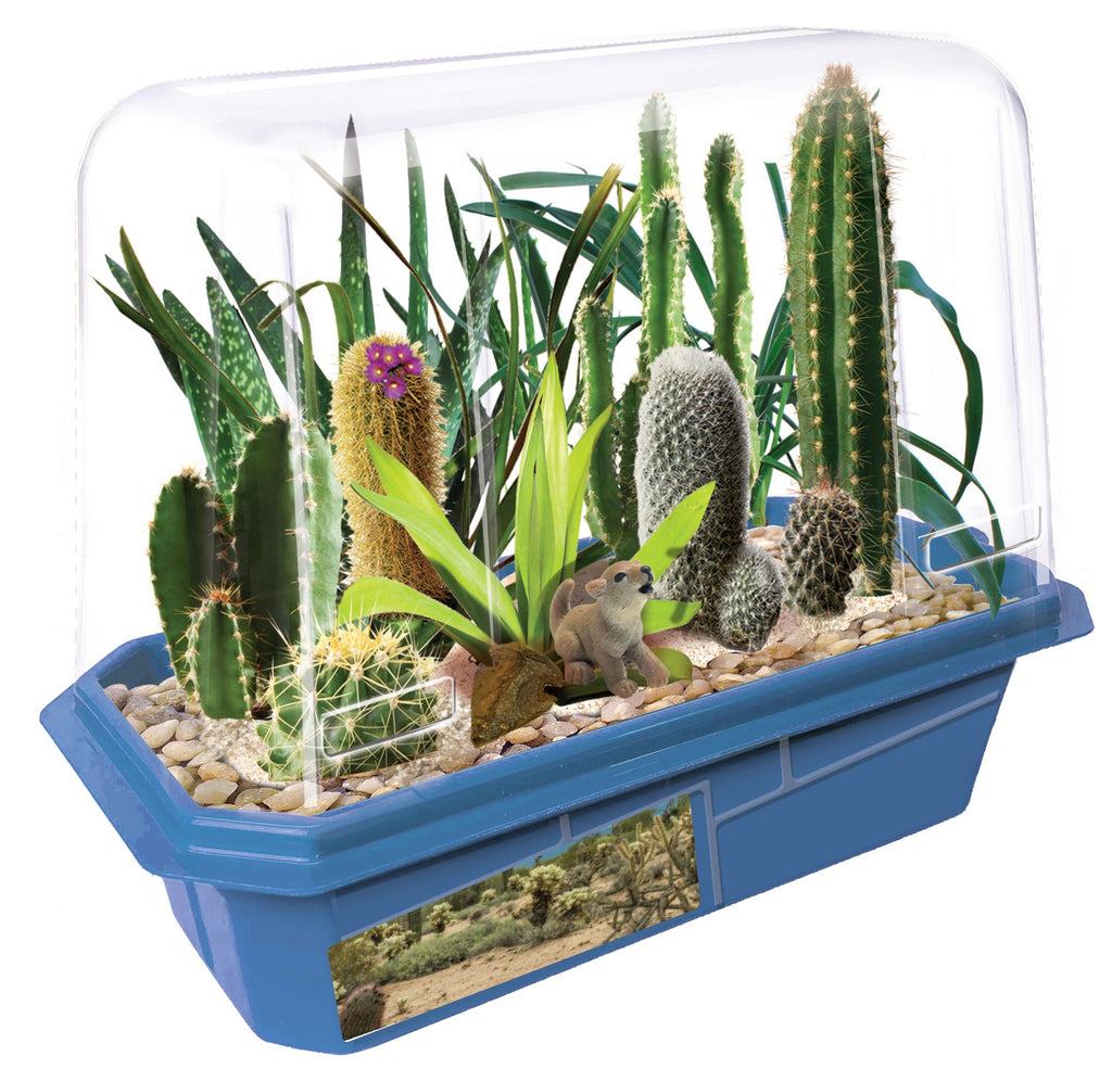 Desert Plant Collection Mini World Terrarium product image 2