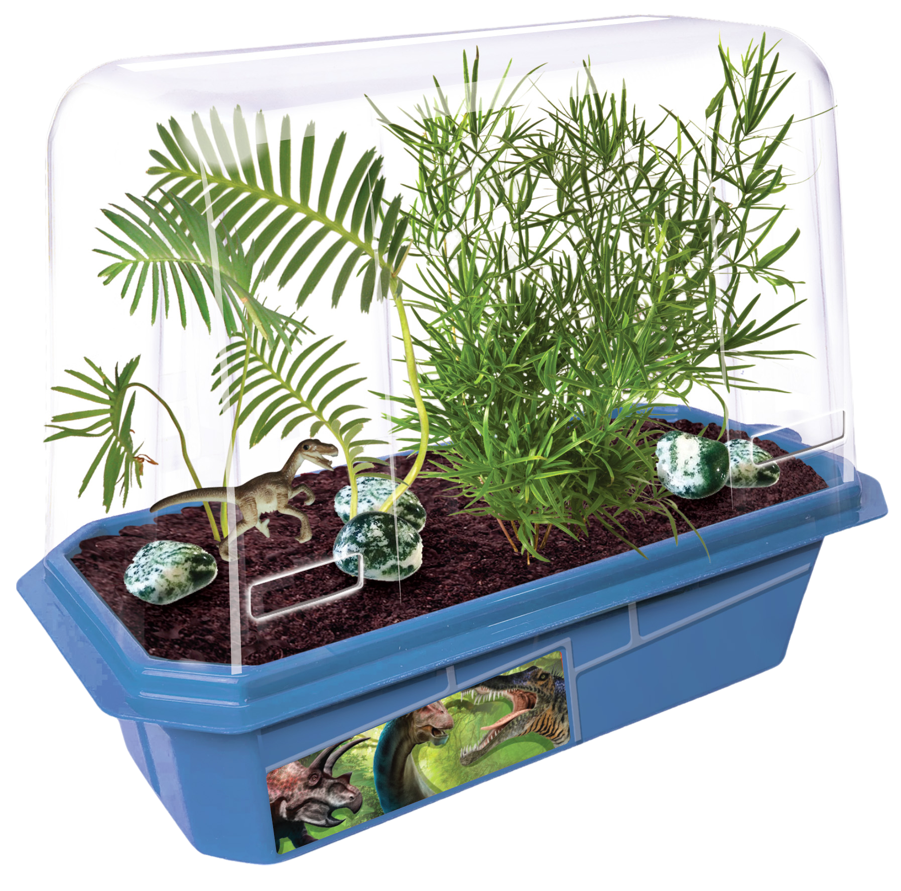 Prehistoric Dinosaur Land Mini World Terrarium product image 3