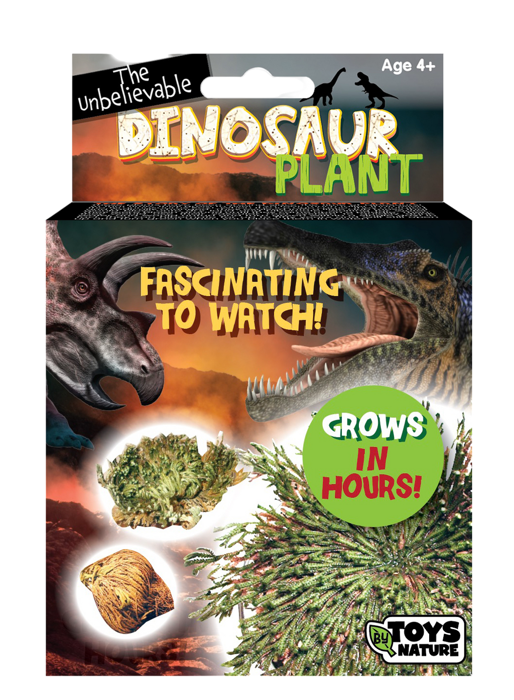 Dinosaur Plant - Multipack of 3 — product image 2