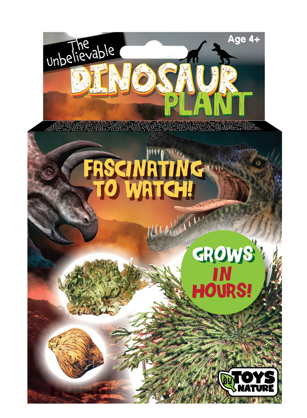 Dinosaur Plant - Multipack of 3 — product image 2