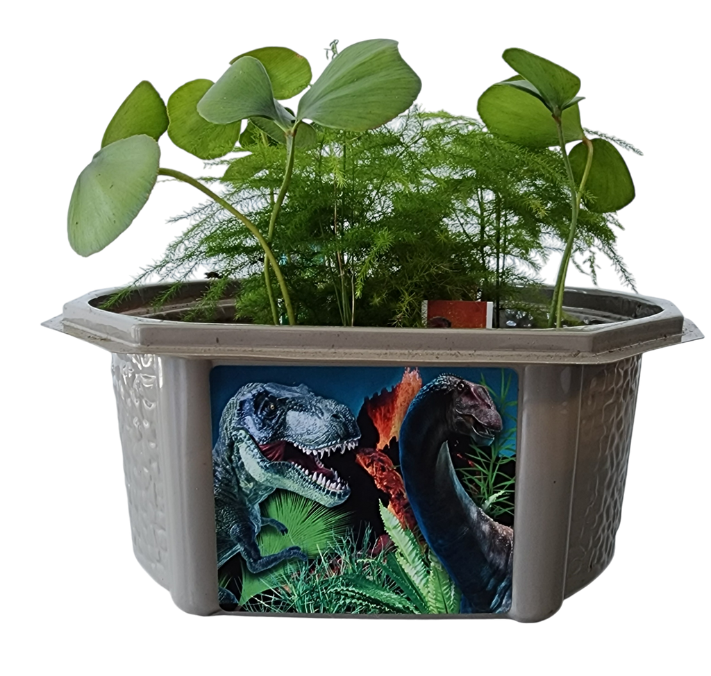 Dinosaur Domain Biosphere Terrarium product image 3